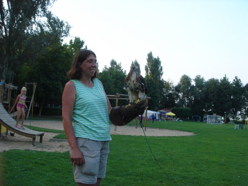 dc-2008-0187 ingrid, roofvogelshow (30-07-2008)